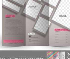 Tri Fold brochure cover 3 vector graphic