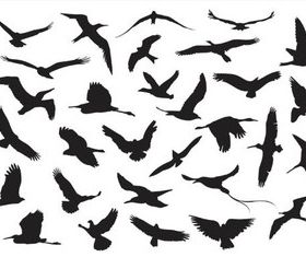 Silhouettes Birds vectors material