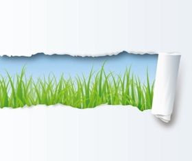 Paper grass set vector