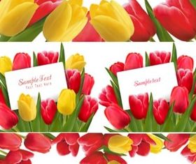Bright tulip border vector