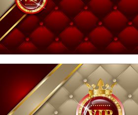 Vip card shiny vector