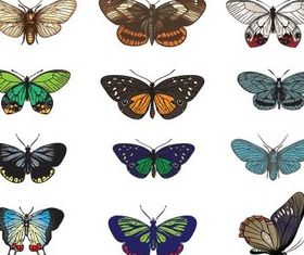 Colorful Butterflies Vector set