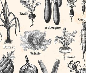 Vegetables 1 shiny vector