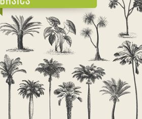 Tropical plant leaves vector set 01 free download