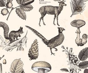 wild animal and plants design vectors