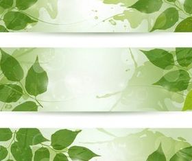 Shiny Leaves Banners vector