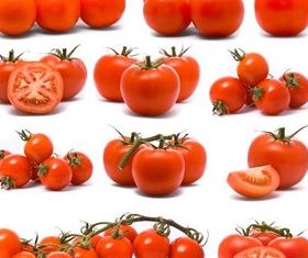 Solar Tomatoes vector graphics