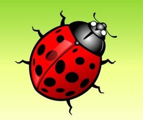 Lady Bug Cartoon design vector