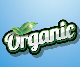 Organic elements design vectors