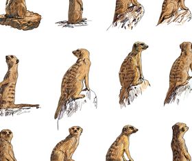 Draw animals 1 vector graphic