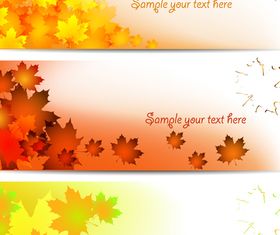 Maple Leaf banner vector graphics