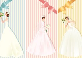 Bride wedding cards creative vector