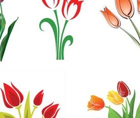 Tulips graphic vector