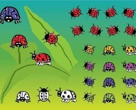Ladybugs vector