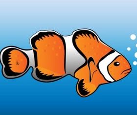 Clown Fish vector design