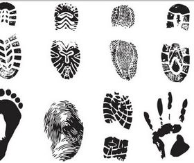 Different Fingerprint vectors graphics