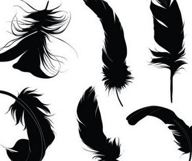 Black Feathers Vector design vectors