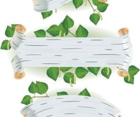 leaves banner vector