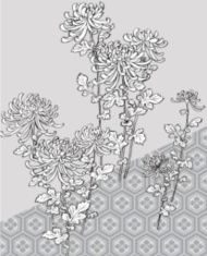 Hand drawn Chrysanthemum vector set