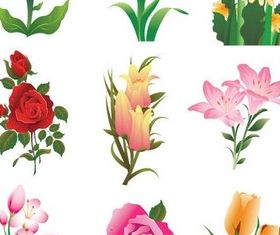 Flowers graphic vector