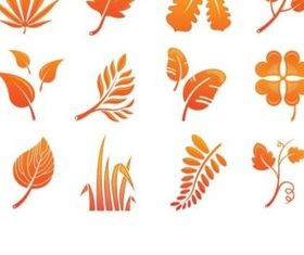 Golden yellow leaves Illustration vector