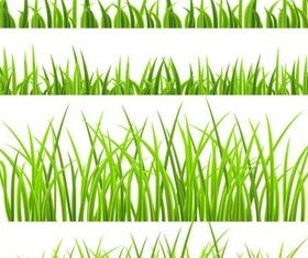 Green Grass graphic vector