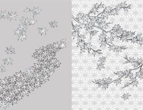 drawing Maple Leaf vectors graphics