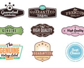 Retro labels shiny vector