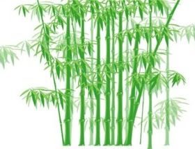 Shiny green bamboo vector