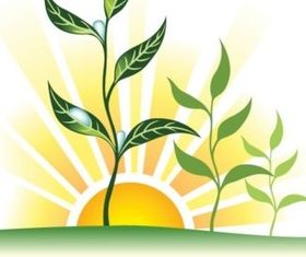 sun and Leaf shiny vector