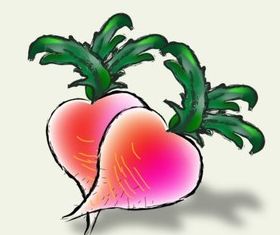 Watercolor radish vector graphics
