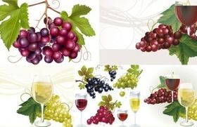 shiny grape with wine shiny vector