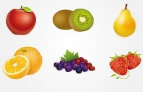 colorful delicious fruit vector