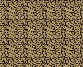 Leopard Print Pattern set vector