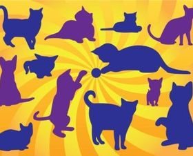 Kitten vectors