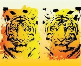 Tigers Graphics set vector