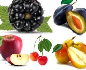 Different berries mix design vector