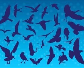 Flying Birds Silhouettes creative vector