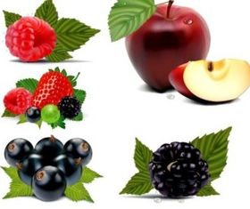 Hand drawn fruit vector graphics