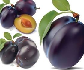 Purple berries design vector
