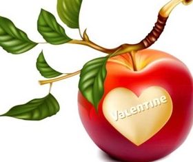 Romantic heart-shaped apple design vectors
