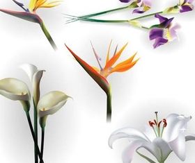 Flowers free vector