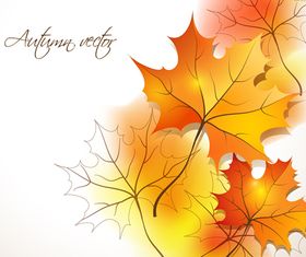 Autumn leaves background 1 vector