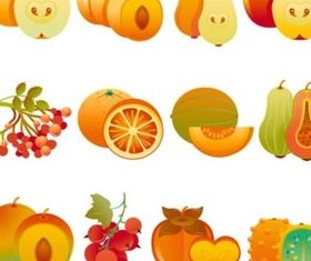 slit fruits design vector