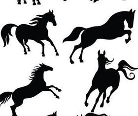 Wild Horses graphic vector