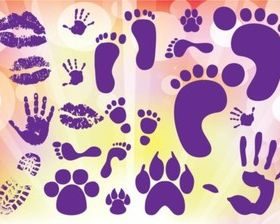 Prints Graphics vector