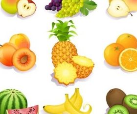 realistic fruit mix vector material