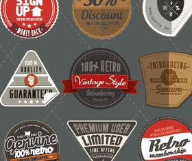 Vintage labels set vector