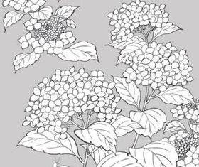 White plants and flowers vector