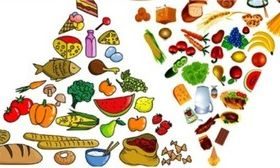 Different food elements vector